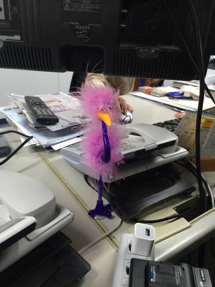 鳥.JPG