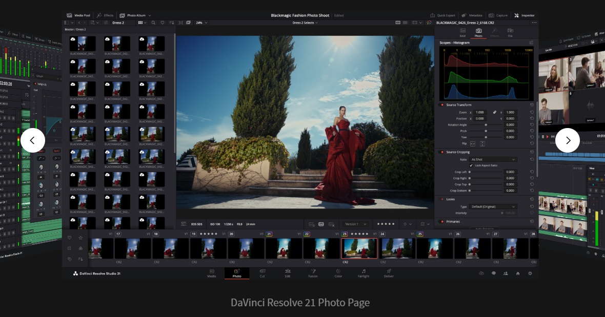 Davinci Resolve Photo Page（公式HPから）
