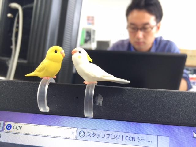 7blog3.JPG