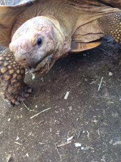 0403動物園3.JPG