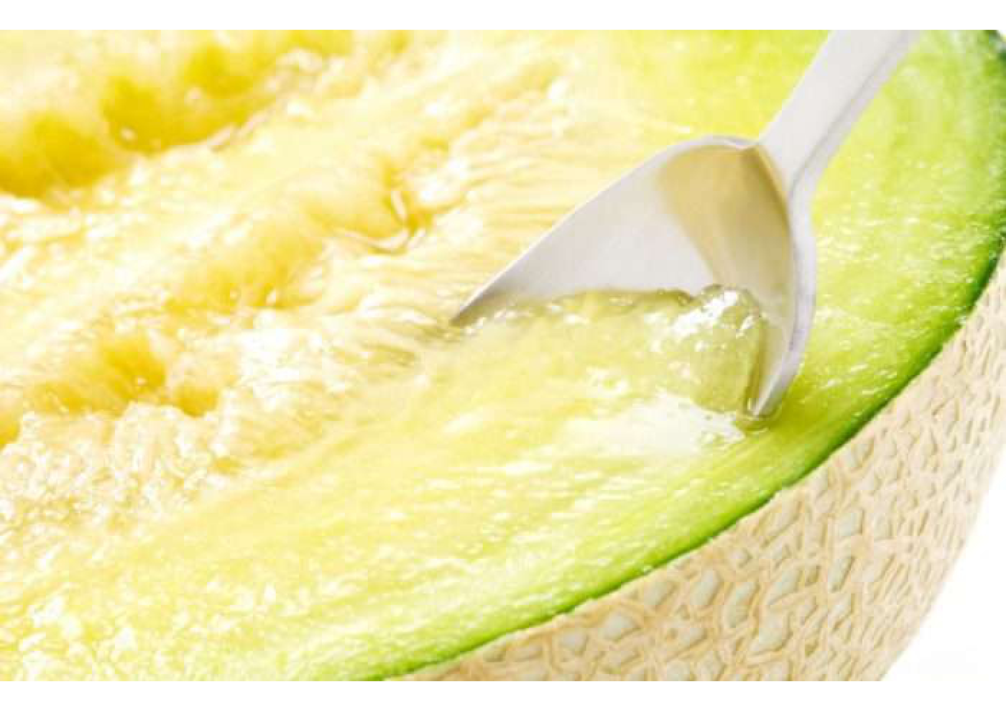 melon cut_pages-to-jpg-0001.jpg