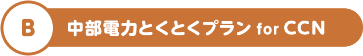 B 中部電力とくとくプラン for CCN