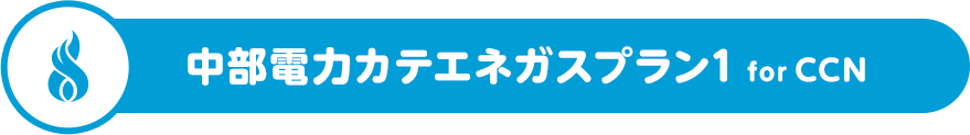 中部電力カテエネガスプラン1 for CCN